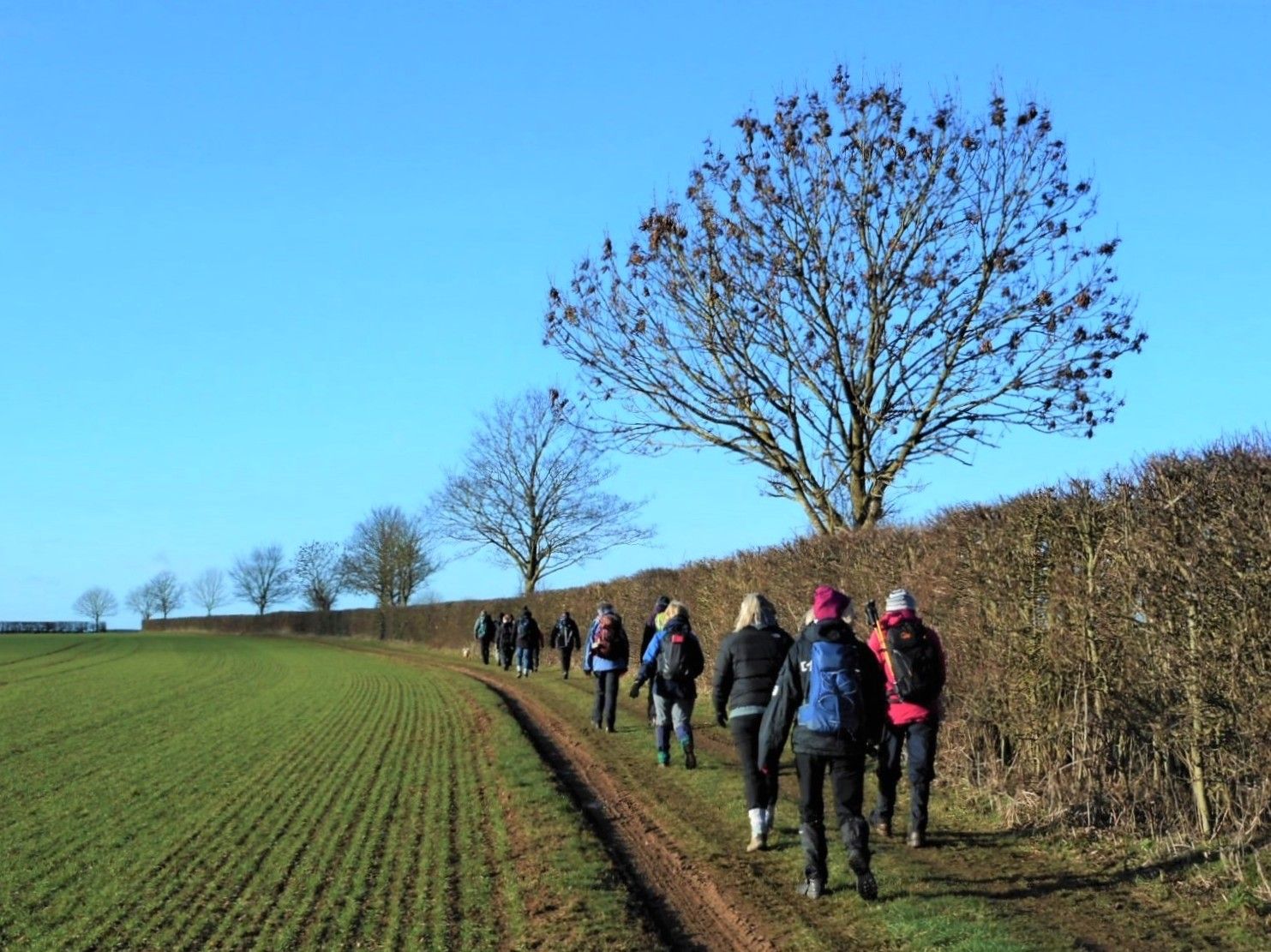 Branston view